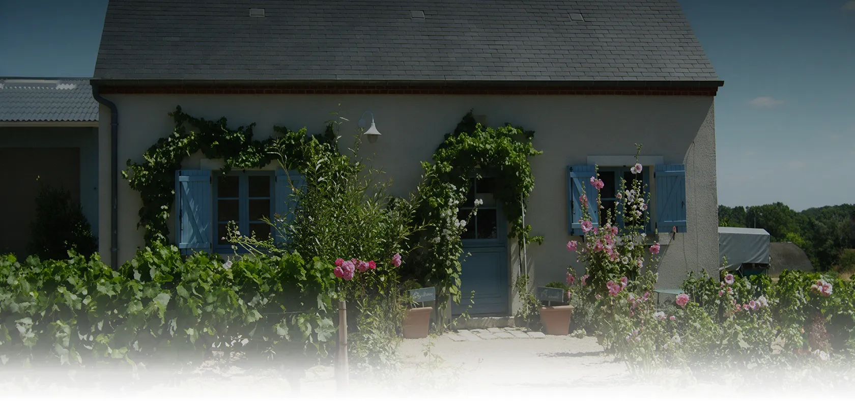 Maison viticole fleurie entourée de vignes et de plantes grimpantes à Quincy
